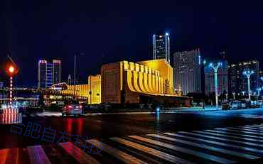 新鄉地區頂崗實習管理系統的創新實踐與應用價值