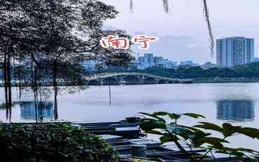 南寧學工管理系統：校園管理的智慧升級實踐