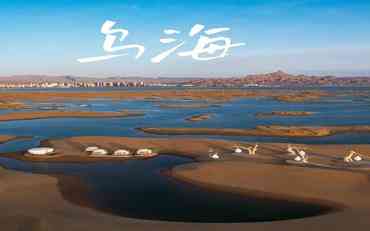 烏海地區校園OA辦公系統應用實踐：提升教育管理效率的新路徑