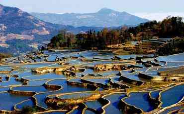 紅河智慧校園服務平臺建設與應用探索