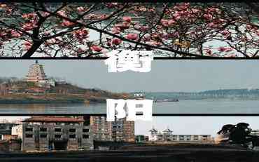 衡陽地區(qū)學(xué)生工作管理系統(tǒng)的落地應(yīng)用與本土化實(shí)踐?